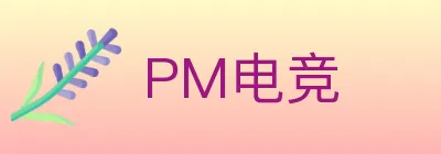 PM电竞 logo